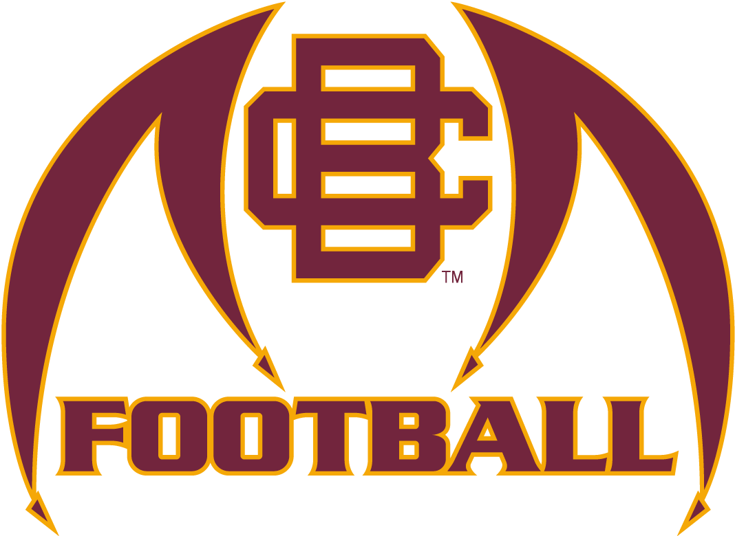 Bethune-Cookman Wildcats 2010-2015 Misc Logo diy iron on heat transfer